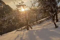 20190129_162846